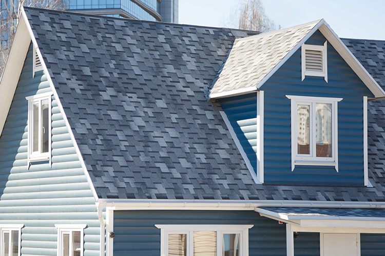Detail Roofing & Metal Sheet
